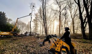 Top Notch Tree Service