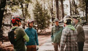 First Impressions Tree Service & landscape