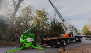 Southern Tree Solutions