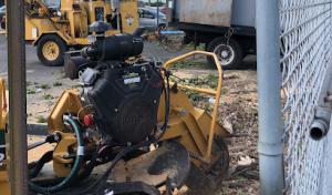 Premium Tree Service