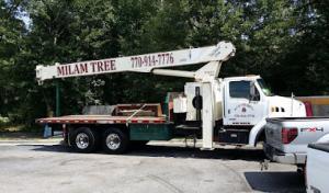 Milam's Tree Service