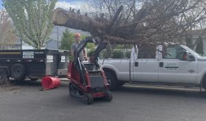 MJ Central Texas Septic