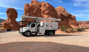 Five Star Tree Service