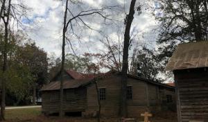 Tru Pro Tree Service