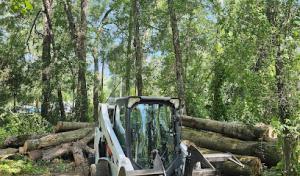 Down To Earth Tree Service