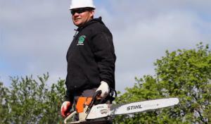Tree Cutting & Trimming Nassau County