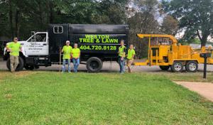 Weston Tree Service
