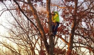 Alford Tree Service