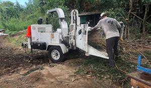 Shamrock Tree Service Hawaii
