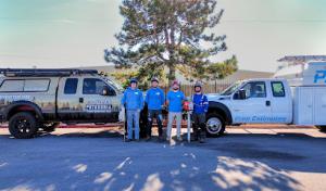 Patagonia Tree Service