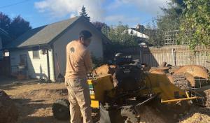 New Life Tree Service