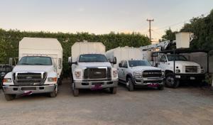 Premier Tree Experts