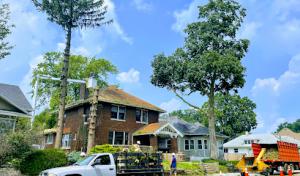 Steve’s Family Tree