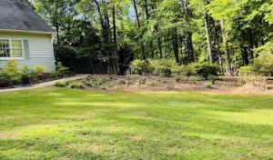 In His Glory tree & property service