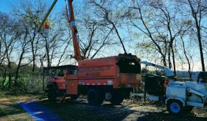 Whispering Pine Tree Care