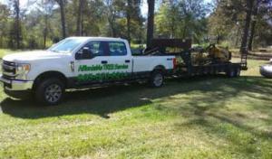 Affordable Tree & Stump Service