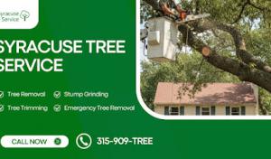 Snowiest City Tree Service