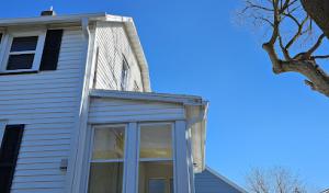 Bonzi's Tree Service