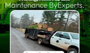 Sanchez Tree Services