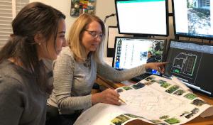 Nature's Dream Landscape