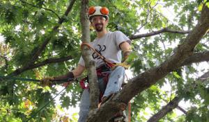 Arbor Works Tree Care