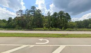 Precision Tree Service