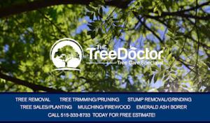 The Tree Doctor