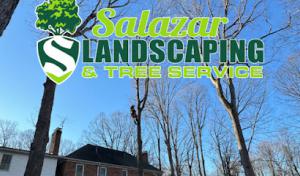 Salazar Landscaping & Tree Service