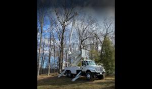 T & K Tree & Crane Service