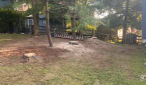 All Seasons Tree Specialist