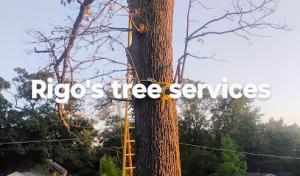 Danny's Septic Service