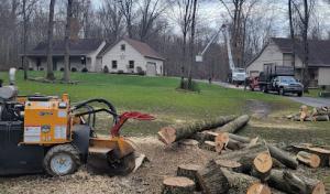 Dave & Son Tree & Land Management