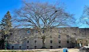 Arc Tree, Inc. - Consulting Arborist, Tree Risk Assessment, Tree Appraisal, Tree Preservation
