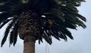 National Wildfire Prevention