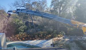 Always Trimming Tree Specialists