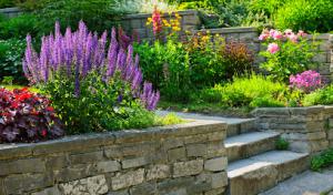 Canfield Construction & Septic