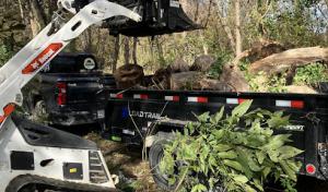 Glenn Lawn & Tree Service