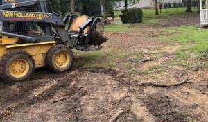 Back Forty Tree Solutions