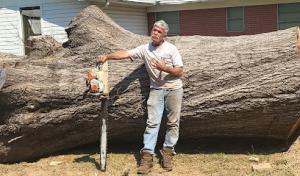 5 Starr Tree Service