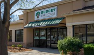 Budget Tree Care