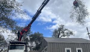 TreeMax Tree Service