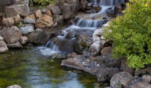 ZebraScapes Landscaping & Services