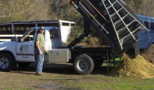 Alan Quality Tree Care