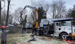 Greater Heights Tree Care