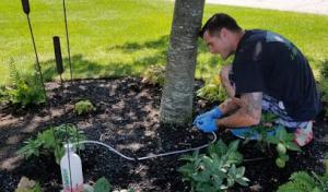 Blackstone Enterprises