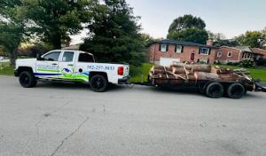 Angel's Tree Service & Landscaping