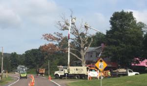 SkyView Tree Experts