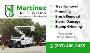 Martinez Tree Work CT