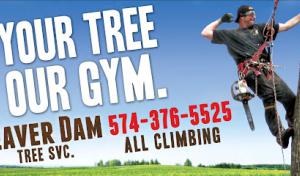 Beaver Dam Tree Service