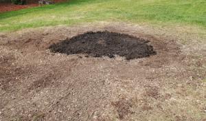 Quartz Stump Grinding